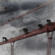 Illustration for article titled New footage and concept art from The Rise of the Planet of the Apes